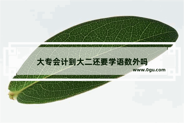 大专会计到大二还要学语数外吗