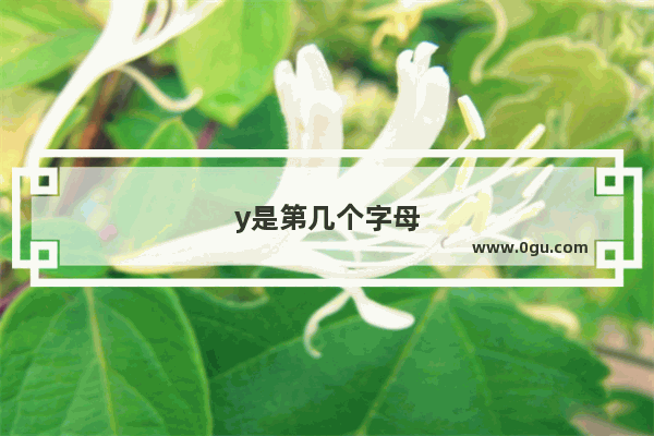 y是第几个字母