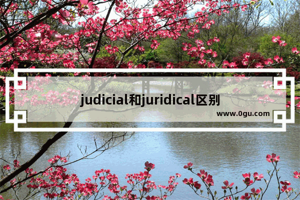 judicial和juridical区别