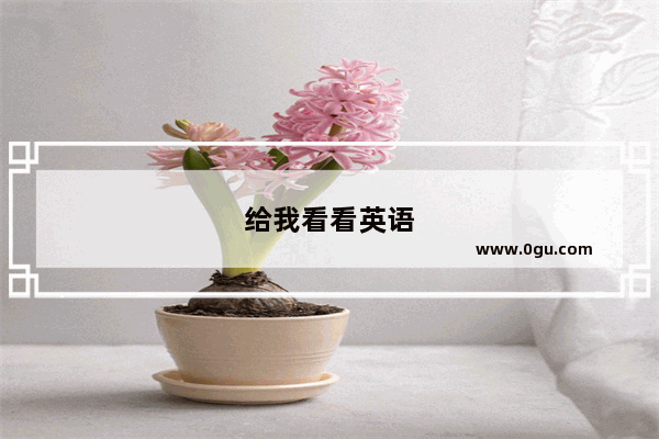给我看看英语