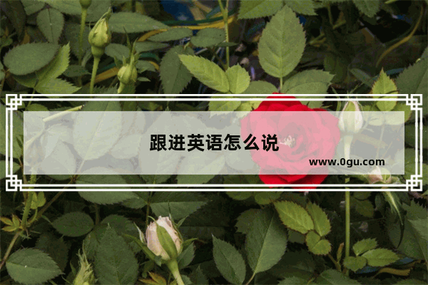 跟进英语怎么说