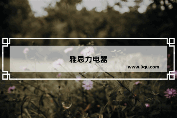 雅思力电器
