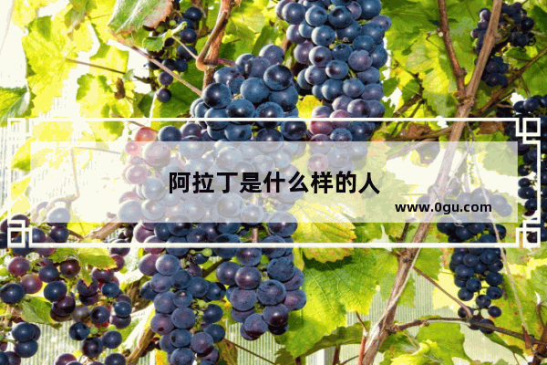 阿拉丁是什么样的人