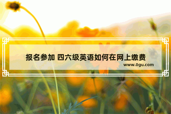 报名参加 四六级英语如何在网上缴费