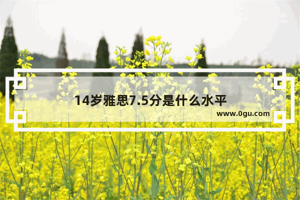 14岁雅思7.5分是什么水平