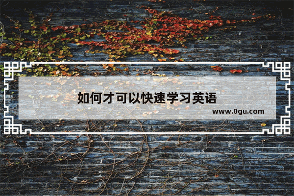 如何才可以快速学习英语