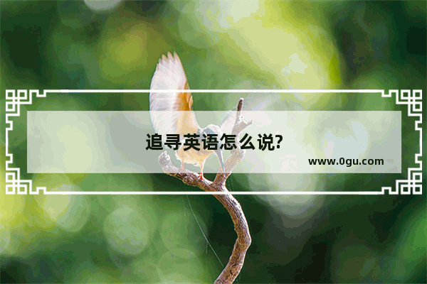 追寻英语怎么说?