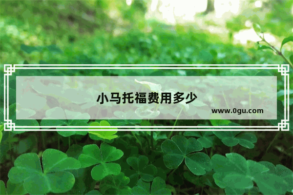 小马托福费用多少