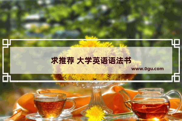求推荐 大学英语语法书