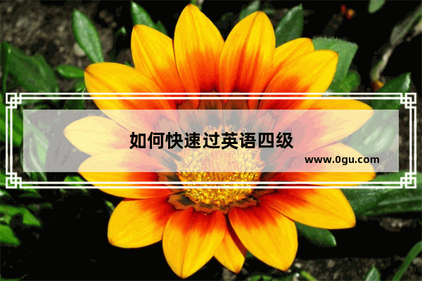 如何快速过英语四级