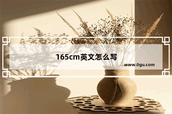 165cm英文怎么写