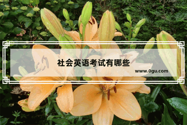 社会英语考试有哪些