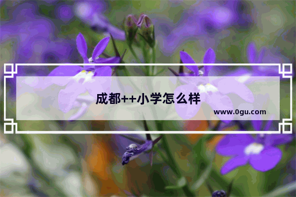 成都++小学怎么样