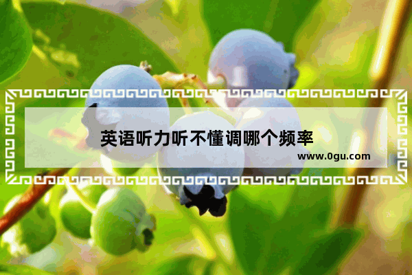 英语听力听不懂调哪个频率