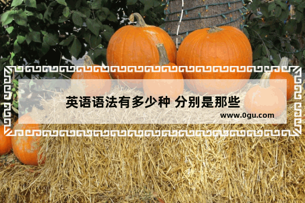 英语语法有多少种 分别是那些