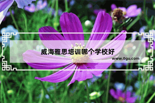 威海雅思培训哪个学校好