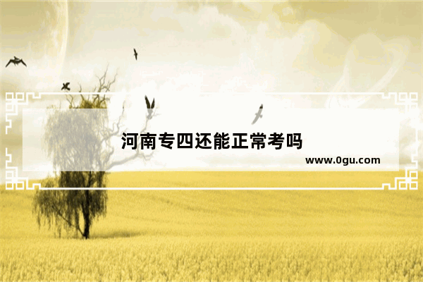 河南专四还能正常考吗