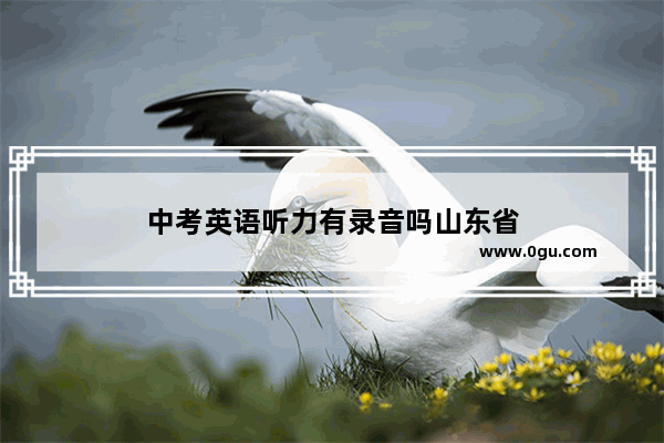 中考英语听力有录音吗山东省
