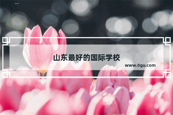 山东最好的国际学校