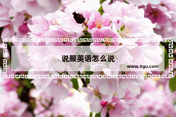 说服英语怎么说