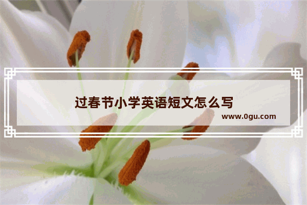 过春节小学英语短文怎么写