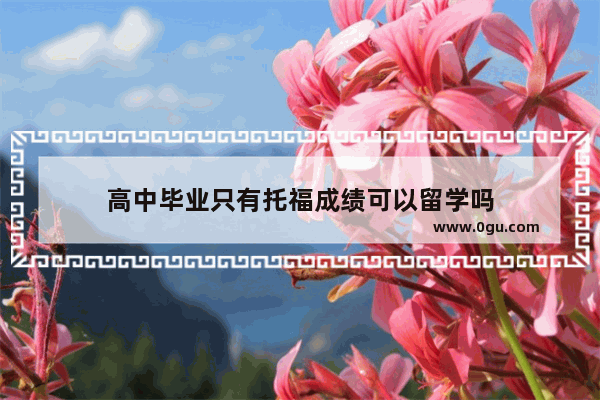 高中毕业只有托福成绩可以留学吗