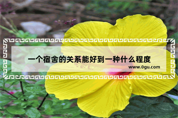 一个宿舍的关系能好到一种什么程度
