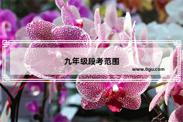 九年级段考范围