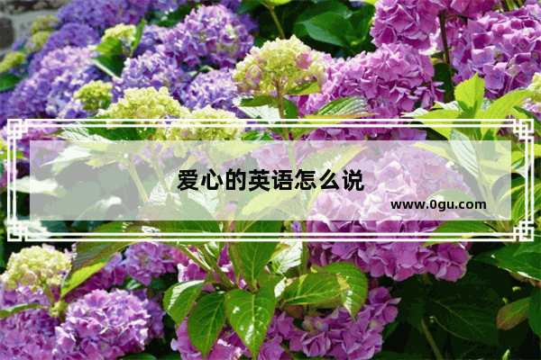 爱心的英语怎么说