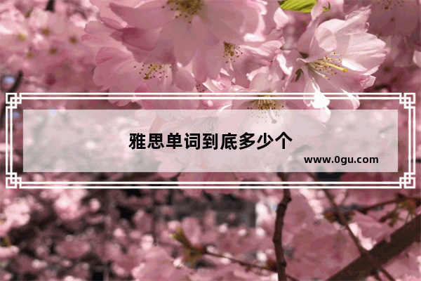 雅思单词到底多少个