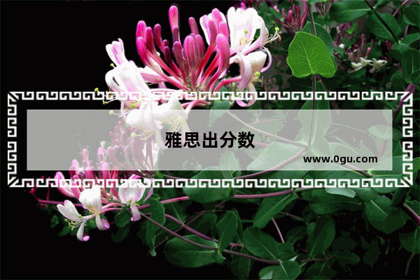 雅思出分数