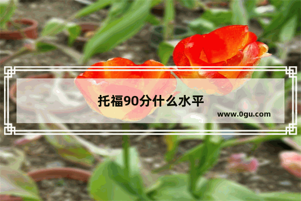 托福90分什么水平