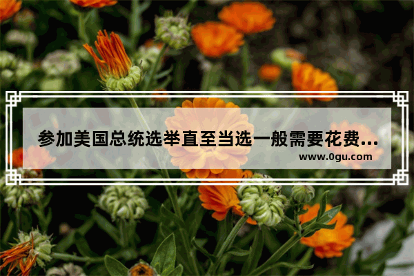 参加美国总统选举直至当选一般需要花费多少资金