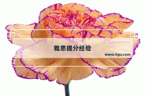 雅思提分经验