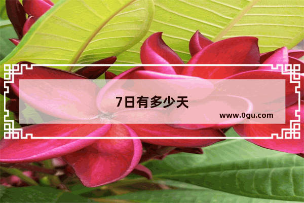 7日有多少天