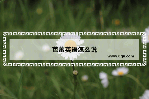 芭蕾英语怎么说