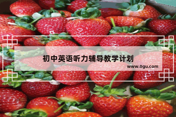 初中英语听力辅导教学计划