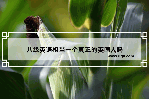 八级英语相当一个真正的英国人吗