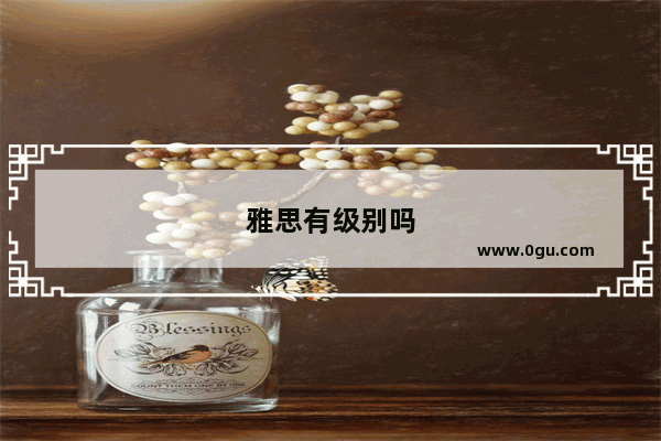雅思有级别吗