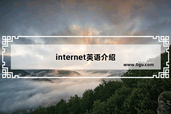 internet英语介绍