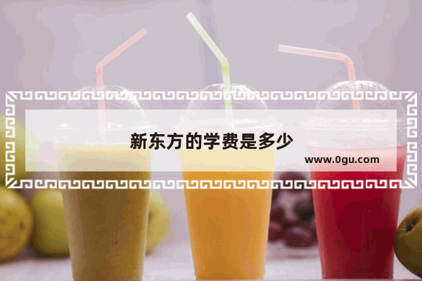 新东方的学费是多少