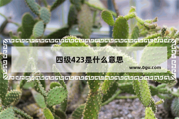 四级423是什么意思
