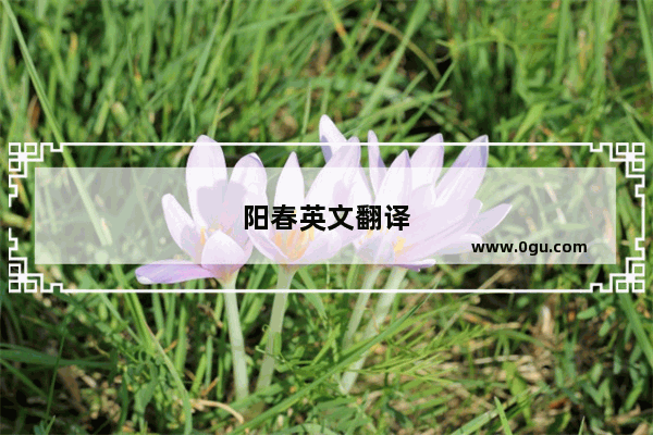 阳春英文翻译