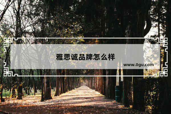 雅思诚品牌怎么样