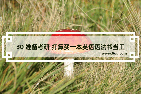 30 准备考研 打算买一本英语语法书当工具书用 求推荐