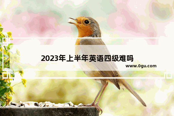2023年上半年英语四级难吗