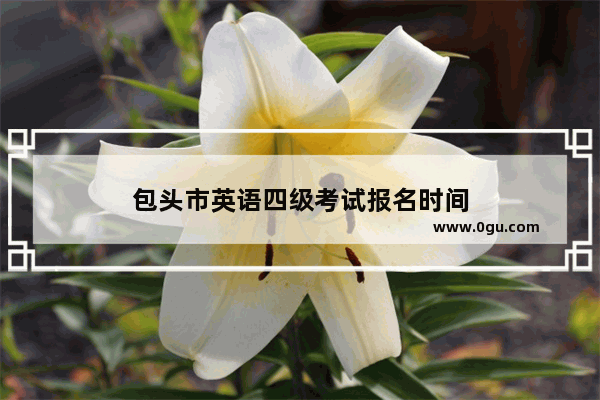 包头市英语四级考试报名时间