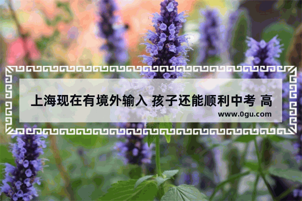 上海现在有境外输入 孩子还能顺利中考 高考吗