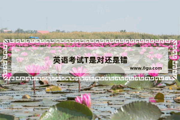 英语考试T是对还是错