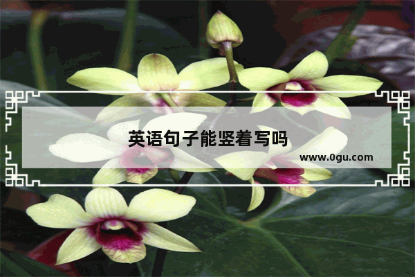 英语句子能竖着写吗